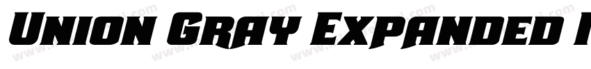 Union Gray Expanded Italic字体转换